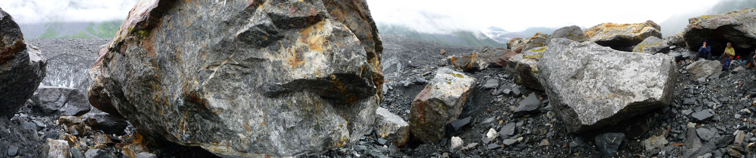 Glacier Bay landscape